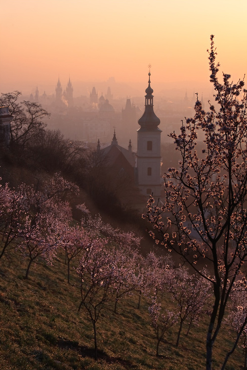 La Primavera a Praga